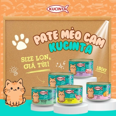 Hoả Tốc 21H Combo 35 Lon Pate Mèo KUCINTA 150g Đủ Vị - Cho Mèo Mới Lứa, Giá 167k 3