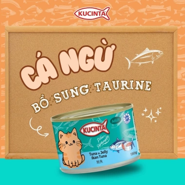 Hoả Tốc 21H Combo 35 Lon Pate Mèo KUCINTA 150g Đủ Vị - Cho Mèo Mới Lứa, Giá 167k 4