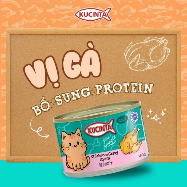 Hoả Tốc 21H Combo 35 Lon Pate Mèo KUCINTA 150g Đủ Vị - Cho Mèo Mới Lứa, Giá 167k 6