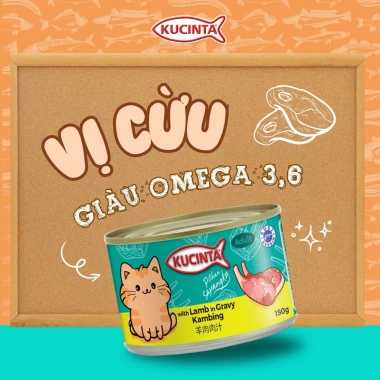 Hoả Tốc 21H Combo 35 Lon Pate Mèo KUCINTA 150g Đủ Vị - Cho Mèo Mới Lứa, Giá 167k 7