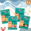 Hoả Tốc 21H Combo 40 Gói 80g Pate Kucinta Dành Cho Mèo Mọi Lứa Tuổi - Giá 115k 2
