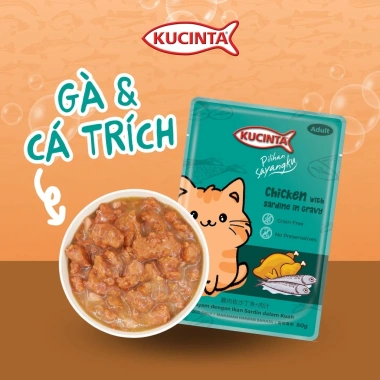 Hoả Tốc 21H Combo 40 Gói 80g Pate Kucinta Dành Cho Mèo Mọi Lứa Tuổi - Giá 115k 8