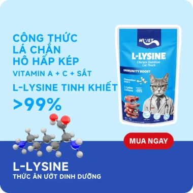 Hoả Tốc 21H Combo 48 Gói Pate MRVET 70g Giàu Đạm Cho Mèo - Giá 147.730₫ 4 Hoả Tốc 21H Combo 48 Gói Pate MRVET 70g Giàu Đạm Cho Mèo - Giá 147.730₫ 4