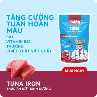 Hoả Tốc 21H Combo 48 Gói Pate MRVET 70g Giàu Đạm Cho Mèo - Giá 147.730₫ 5 Hoả Tốc 21H Combo 48 Gói Pate MRVET 70g Giàu Đạm Cho Mèo - Giá 147.730₫ 5