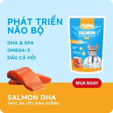 Hoả Tốc 21H Combo 48 Gói Pate MRVET 70g Giàu Đạm Cho Mèo - Giá 147.730₫ 6 Hoả Tốc 21H Combo 48 Gói Pate MRVET 70g Giàu Đạm Cho Mèo - Giá 147.730₫ 6