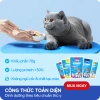 Hoả Tốc 21H Combo 48 Gói Pate MRVET 70g Giàu Đạm Cho Mèo - Giá 147.730₫ 7