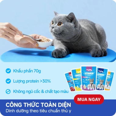 Hoả Tốc 21H Combo 48 Gói Pate MRVET 70g Giàu Đạm Cho Mèo - Giá 147.730₫