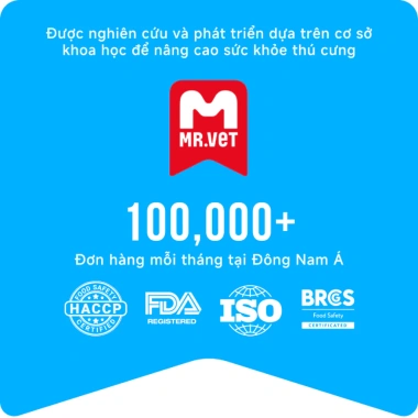 Hoả Tốc 21H Combo 48 Gói Pate MRVET 70g Giàu Đạm Cho Mèo - Giá 147.730₫