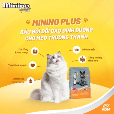 Hoả Tốc 21H Combo 5 Túi 350g Hạt MININO YUM Vị Mực Nướng cho Mèo Lớn - Giá 40.000₫
