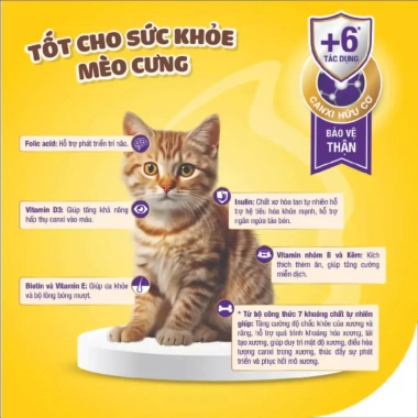 Hoả Tốc 21H Dr.Kyan PRECATEN GOLD Sữa Bột 100gr Chính Hãng - Dinh Dưỡng Cho Mèo Mọi Lứa Tuổi - 55.000 VND