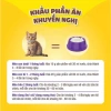 Hoả Tốc 21H Dr.Kyan PRECATEN GOLD Sữa Bột 100gr Chính Hãng - Dinh Dưỡng Cho Mèo Mọi Lứa Tuổi - 55.000 VND 5