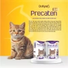 Hoả Tốc 21H Dr.Kyan PRECATEN GOLD Sữa Bột 100gr Chính Hãng - Dinh Dưỡng Cho Mèo Mọi Lứa Tuổi - 55.000 VND 6