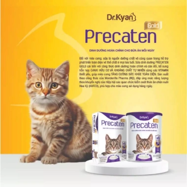 Hoả Tốc 21H Dr.Kyan PRECATEN GOLD Sữa Bột 100gr Chính Hãng - Dinh Dưỡng Cho Mèo Mọi Lứa Tuổi - 55.000 VND 6 Hoả Tốc 21H Dr.Kyan PRECATEN GOLD Sữa Bột 100gr Chính Hãng - Dinh Dưỡng Cho Mèo Mọi Lứa Tuổi - 55.000 VND 6