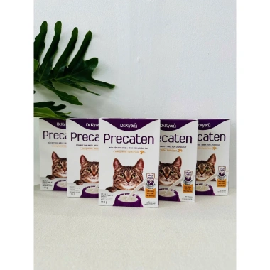 Hoả Tốc 21H Dr.Kyan PRECATEN GOLD Sữa Bột 100gr Chính Hãng - Dinh Dưỡng Cho Mèo Mọi Lứa Tuổi - 55.000 VND