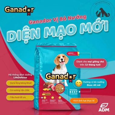 Hoả Tốc 21H Hạt GANADOR Bò Nướng 3kg - Thức ăn chó trưởng thành, giàu protein, giá ưu đãi 160.000đ