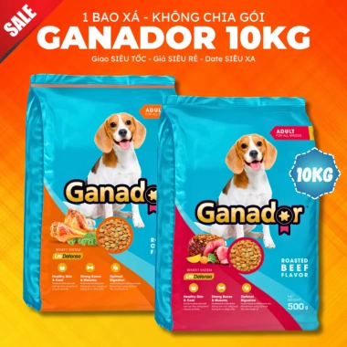 Hoả Tốc 21H Hạt GANADOR Bò Nướng 3kg - Thức ăn chó trưởng thành, giàu protein, giá ưu đãi 160.000đ