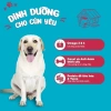Hoả Tốc 21H Hạt GANADOR Vị Bò 10KG - Dinh dưỡng cao cho chó lớn, giá 459.000 VND 6