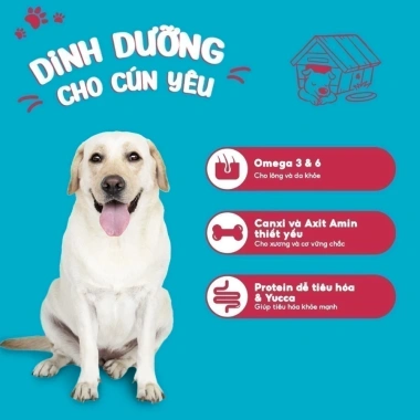 Hoả Tốc 21H Hạt GANADOR Vị Bò 10KG - Dinh dưỡng cao cho chó lớn, giá 459.000 VND