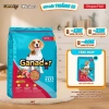 Hoả Tốc 21H Hạt GANADOR Vị Bò 10KG - Dinh dưỡng cao cho chó lớn, giá 459.000 VND 8