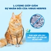 Hoả Tốc 21H Hạt MR.VET T2 1Kg Dưỡng Lông Da Cho Mèo Mọi Tuổi - Giá 155k 6
