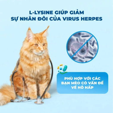 Hoả Tốc 21H Hạt MR.VET T2 1Kg Dưỡng Lông Da Cho Mèo Mọi Tuổi - Giá 155k