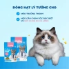 Hoả Tốc 21H Hạt MR.VET T2 1Kg Dưỡng Lông Da Cho Mèo Mọi Tuổi - Giá 155k 7