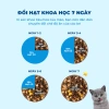 Hoả Tốc 21H Hạt MR.VET T2 1Kg Dưỡng Lông Da Cho Mèo Mọi Tuổi - Giá 155k 9