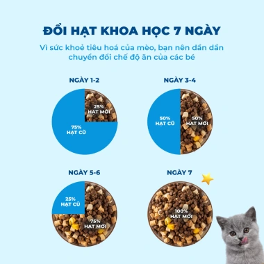 Hoả Tốc 21H Hạt MR.VET T2 1Kg Dưỡng Lông Da Cho Mèo Mọi Tuổi - Giá 155k
