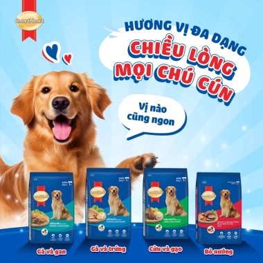 Hoả Tốc 21H Hạt SMARTHEART 3KG Vị Gà & Gan cho Chó Trưởng Thành - Giá ưu đãi 264.020 VND 6
