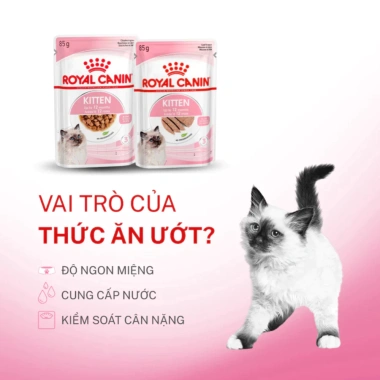 Hoả Tốc 21H - Hộp 12 túi 85g Pate ROYAL CANIN Kitten Gravy, Mèo Con & Mẹ Mang Thai, Giá 545k 3 Hoả Tốc 21H - Hộp 12 túi 85g Pate ROYAL CANIN Kitten Gravy, Mèo Con & Mẹ Mang Thai, Giá 545k 3