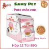 Hoả Tốc 21H - Hộp 12 Túi 85g Pate ROYAL CANIN Kitten Thạch Jelly, Dinh dưỡng cho Mèo con và Mẹ mang thai - Giá ưu đãi 545.000₫