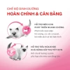 Hoả Tốc 21H - Hộp 12 Túi 85g Pate ROYAL CANIN Kitten Thạch Jelly, Dinh dưỡng cho Mèo con và Mẹ mang thai - Giá ưu đãi 545.000₫ 4