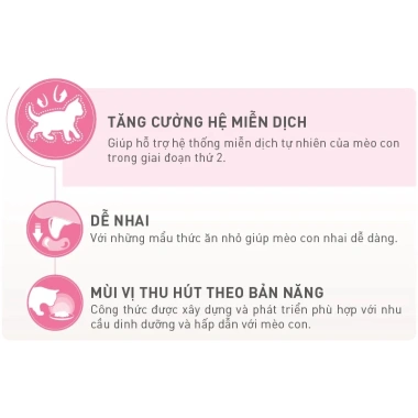 Hoả Tốc 21H - Hộp 12 Túi 85g Pate ROYAL CANIN Kitten Thạch Jelly, Dinh dưỡng cho Mèo con và Mẹ mang thai - Giá ưu đãi 545.000₫ 9 Hoả Tốc 21H - Hộp 12 Túi 85g Pate ROYAL CANIN Kitten Thạch Jelly, Dinh dưỡng cho Mèo con và Mẹ mang thai - Giá ưu đãi 545.000₫ 9