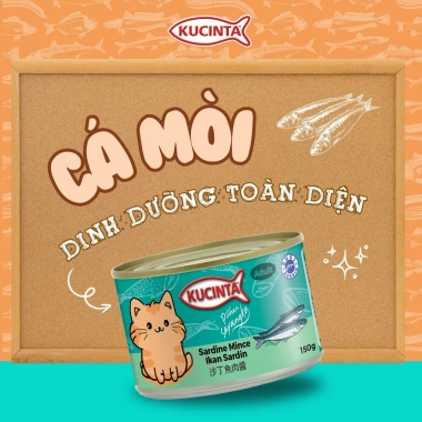 Hoả Tốc 21H Pate Kucinta 150g Chính Hãng - Dinh Dưỡng Cao Cho Mèo - Giá 12.000đ
