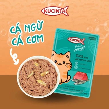 Hoả Tốc 21H Pate KUCINTA 80g Cho Mèo Lứa Tuổi - Giàu Dinh Dưỡng, Giá 12.000₫