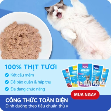 Hoả Tốc 21H Pate MR.VET 70g Cho Mèo - 51% Thịt, Dinh Dưỡng Toàn Diện, Giá 13.000