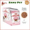 Hoả Tốc 21H Pate ROYAL CANIN Kitten Gravy 85g: Chính Hãng, Dinh Dưỡng Cho Mèo Con & Mẹ Mang Thai, 48.000₫