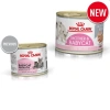 Hoả Tốc 21H Pate Royal Canin Mother và Baby Cat 195g, Dinh Dưỡng Cho Mèo Con và Mẹ Mang Thai, Giá Ưu Đãi 85.000₫ 4