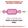 Hoả Tốc 21H Pate Royal Canin Mother và Baby Cat 195g, Dinh Dưỡng Cho Mèo Con và Mẹ Mang Thai, Giá Ưu Đãi 85.000₫ 6