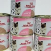Hoả Tốc 21H Pate Royal Canin Mother và Baby Cat 195g, Dinh Dưỡng Cho Mèo Con và Mẹ Mang Thai, Giá Ưu Đãi 85.000₫ 8