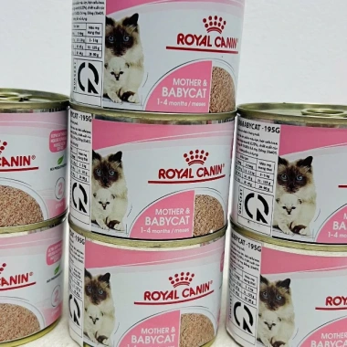 Hoả Tốc 21H Pate Royal Canin Mother và Baby Cat 195g, Dinh Dưỡng Cho Mèo Con và Mẹ Mang Thai, Giá Ưu Đãi 85.000₫ 8