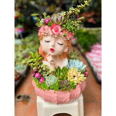 HỎA TỐC Combo chậu cô gái sen đá 40cm, đkinh chậu 26cm - Giá ưu đãi 499.000 VND