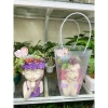 HỎA TỐC Combo chậu cô gái sen đá 40cm, đkinh chậu 26cm - Giá ưu đãi 499.000 VND 9