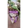 HỎA TỐC Combo chậu cô gái sen đá 40cm, đkinh chậu 26cm - Giá ưu đãi 499.000 VND 10