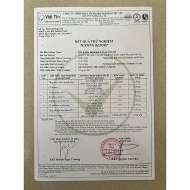 HOÀ TỐC GÒ VÁP 30P - Bánh PIA Nhân Mặn Gà Quay, Đậu Xanh, Khóm, Dừa - Tân Dân Lợi 60k 6