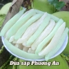 Hỏa Tốc HCM Mứt Dừa Sáp Loại 1 Thơm Sữa Lá Dứa Trắng Xanh Giá ưu đãi 161.500 VND 2