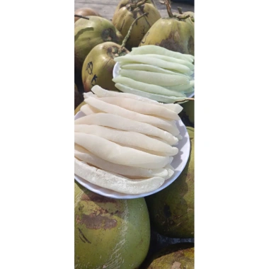 Hỏa Tốc HCM Mứt Dừa Sáp Loại 1 Thơm Sữa Lá Dứa Trắng Xanh Giá ưu đãi 161.500 VND