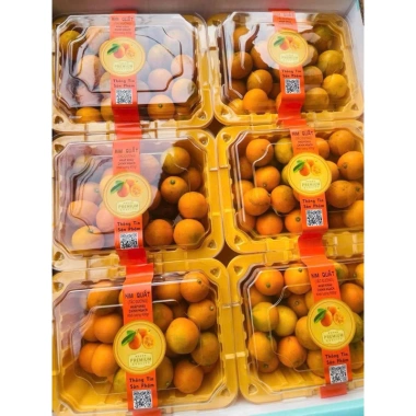 Hoả Tốc Kim Quật Tắc Ngọt - Giảm Giá Đặc Biệt 75k, Tốc Độ Phá Vỡ Cao, Giá Gốc 93k 5 Hoả Tốc Kim Quật Tắc Ngọt - Giảm Giá Đặc Biệt 75k, Tốc Độ Phá Vỡ Cao, Giá Gốc 93k 5