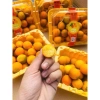 Hoả Tốc Kim Quật Tắc Ngọt - Giảm Giá Đặc Biệt 75k, Tốc Độ Phá Vỡ Cao, Giá Gốc 93k 6