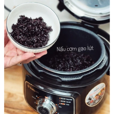 HỎA TỐC Nồi Áp Suất Điện Đa Năng Kalpen P1 2.5L Công Nghệ Đức Cao Cấp - Giá Ưu Đãi 1.45 Triệu